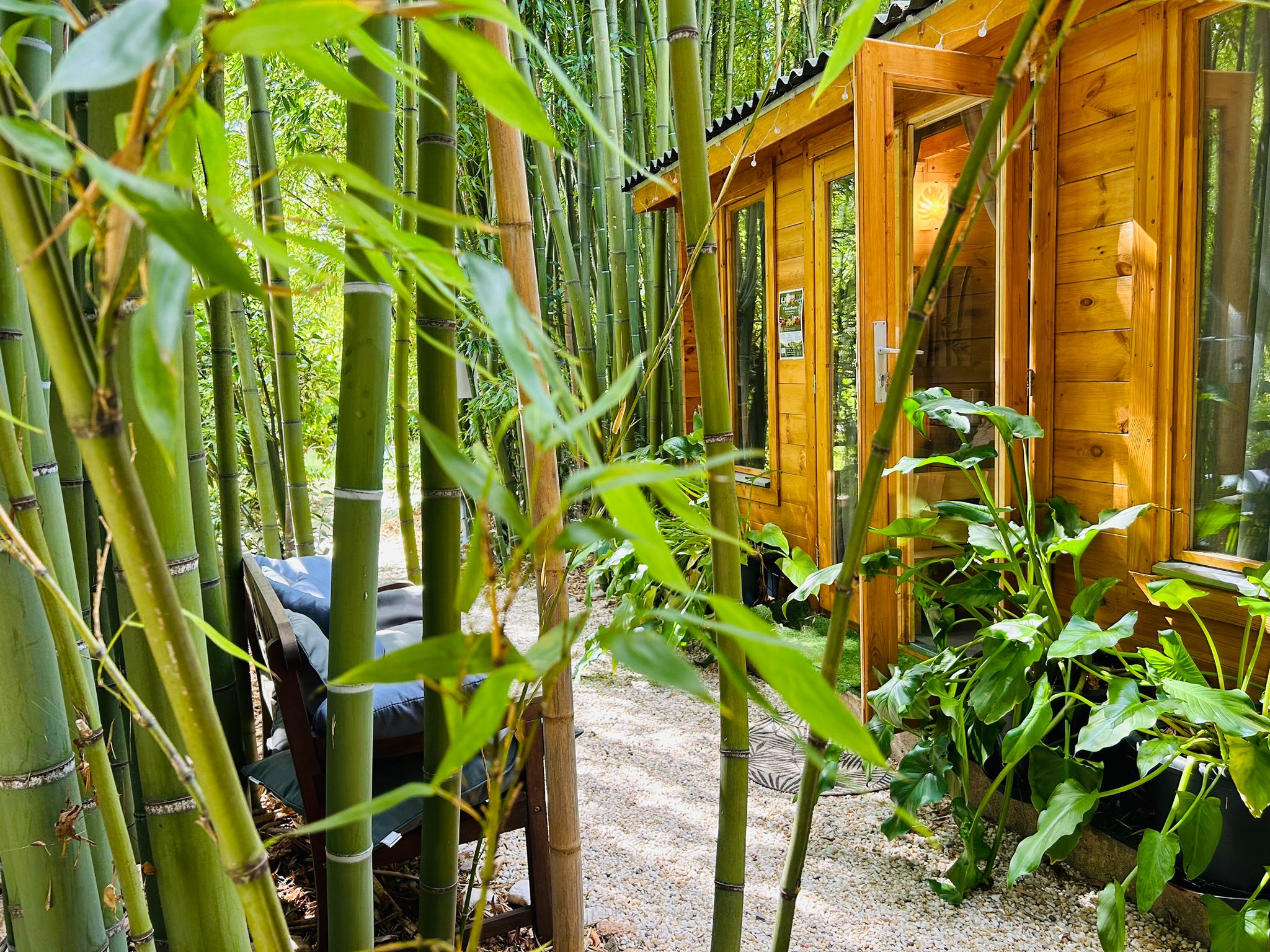 Espace détente L'Essence Bambou