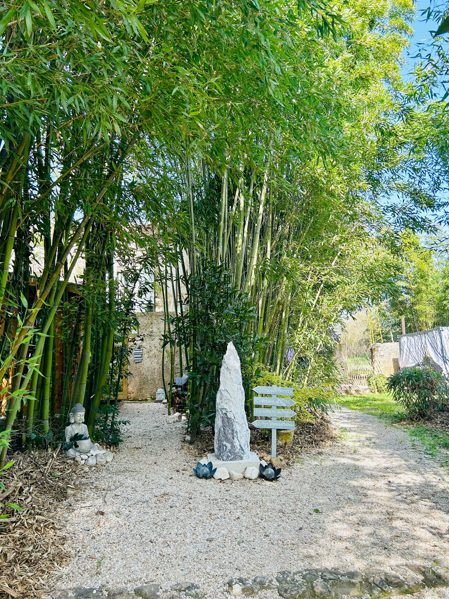 Ambiance bien-être L'Essence Bambou